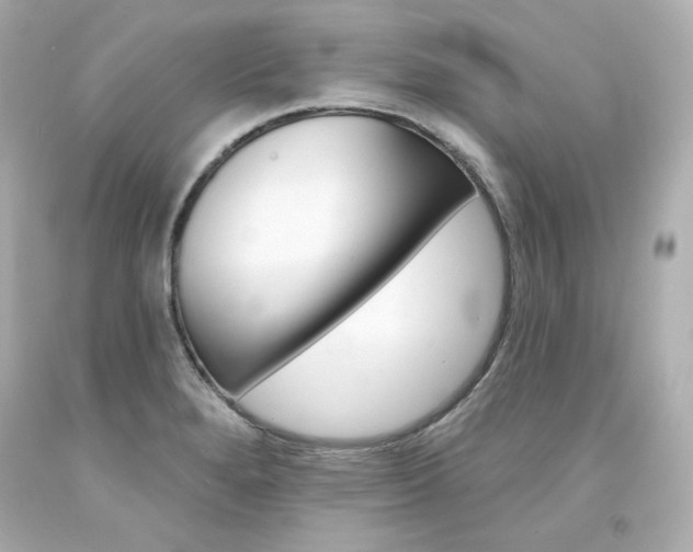X0000094351280200711021304