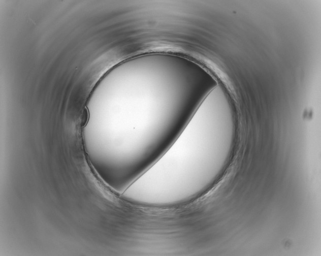 X0000094351281200711021304