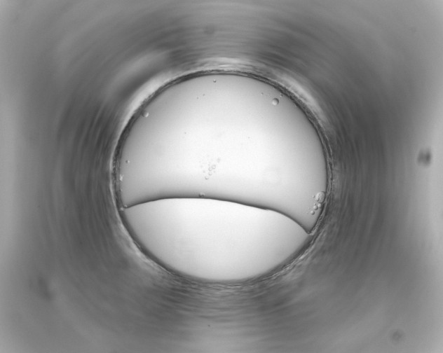X0000094351283200711021304