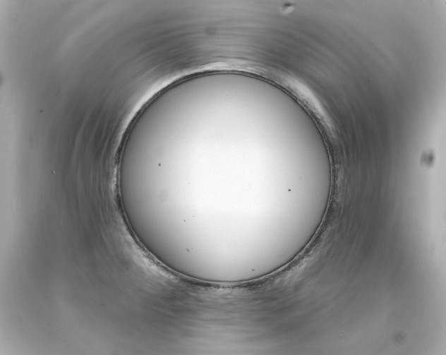 X0000094351284200711021304