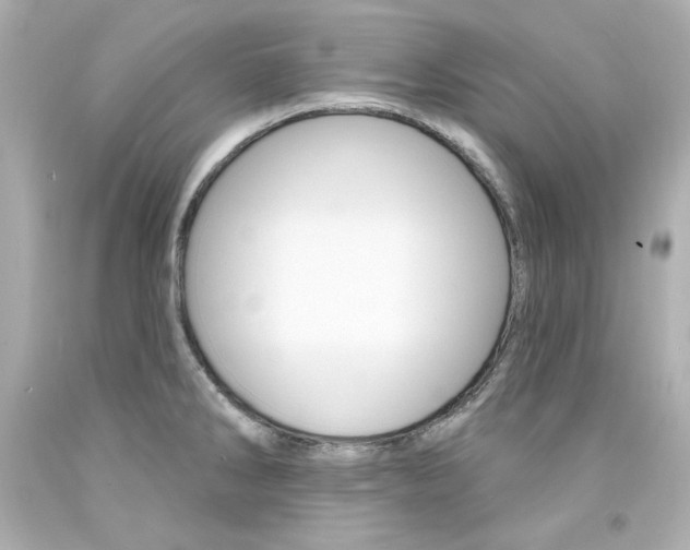 X0000094351286200711021304