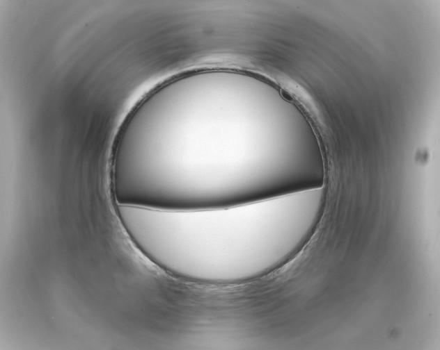 X0000094351288200711021304