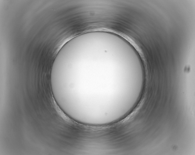 X0000094351289200711021304
