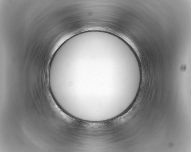 X0000094351290200711021304