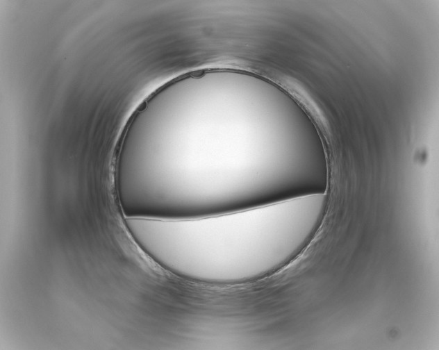 X0000094351292200711021304