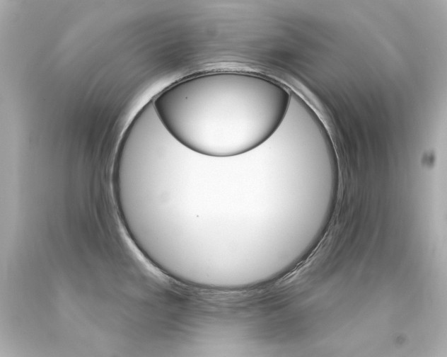 X0000094351293200711021304