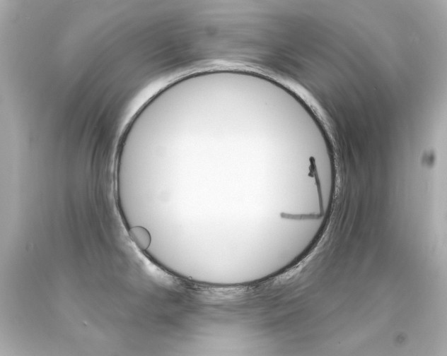 X0000094351294200711021304