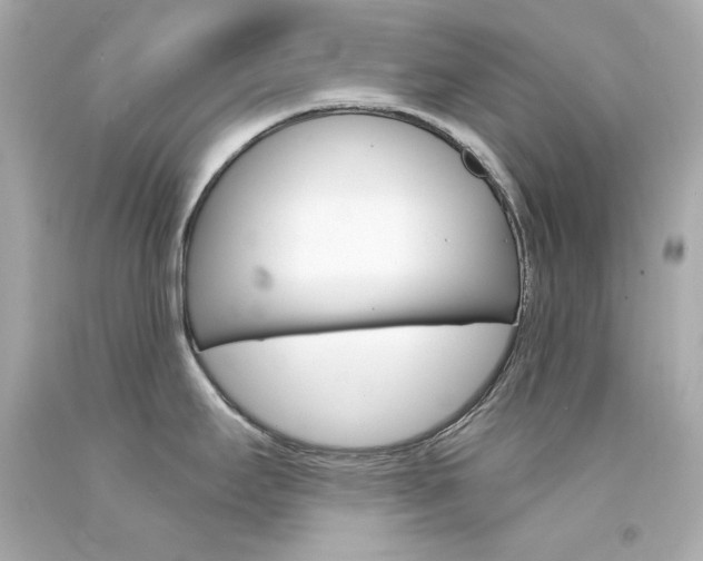 X0000094351295200711021304