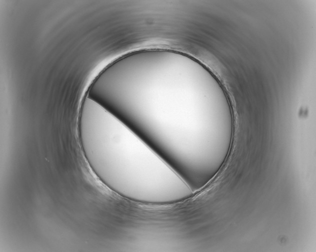 X0000094351296200711021304