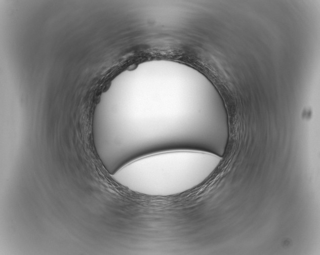 X0000094351297200711021303