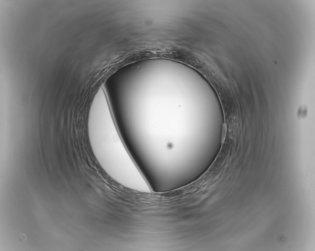 X0000094351298200711021303