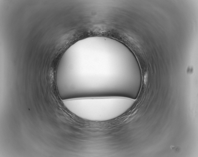 X0000094351299200711021303