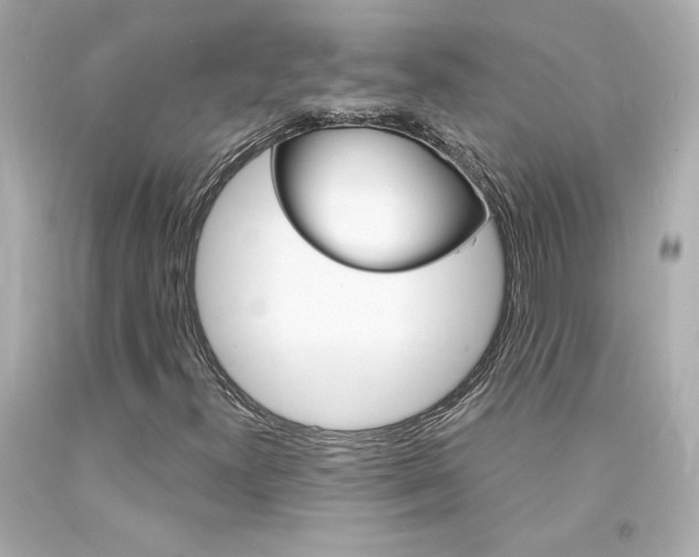 X0000094351300200711021303