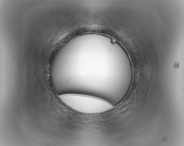 X0000094351301200711021303