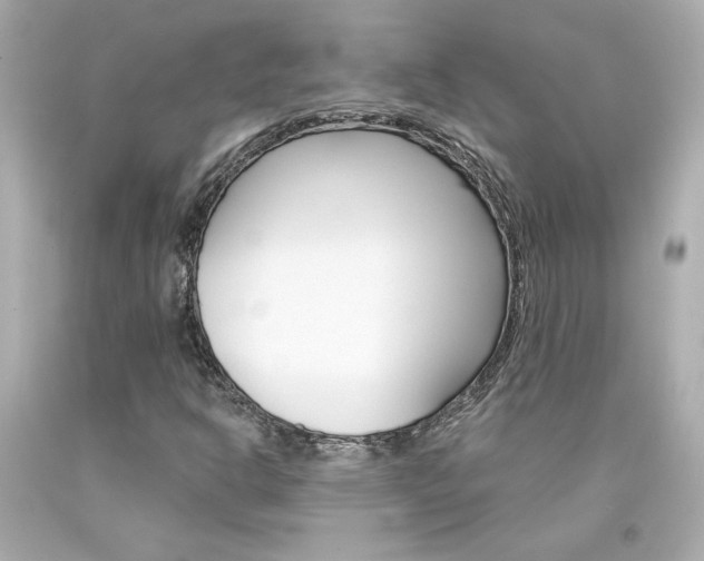 X0000094351302200711021303