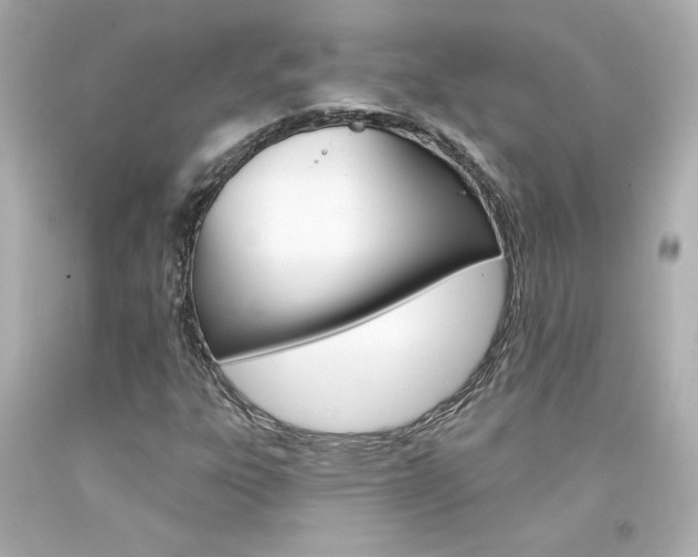 X0000094351303200711021303