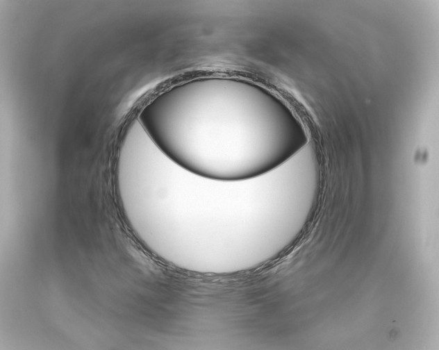 X0000094351304200711021303