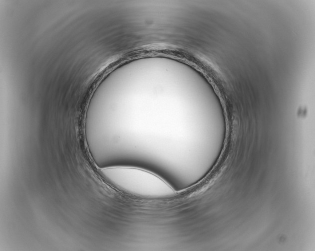 X0000094351305200711021303