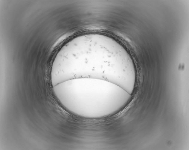 X0000094351306200711021303