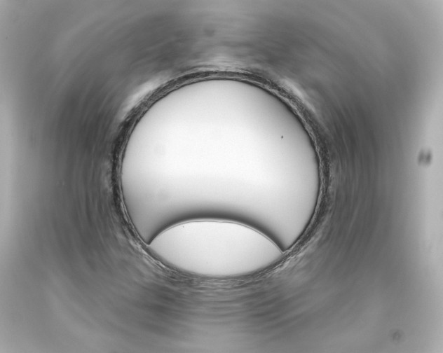 X0000094351307200711021303