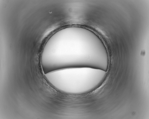 X0000094351309200711021303