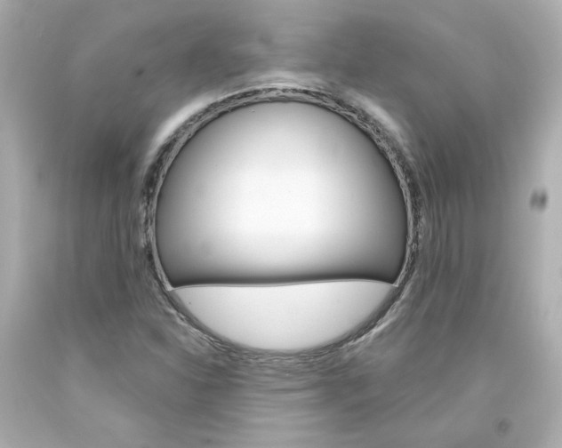 X0000094351310200711021303