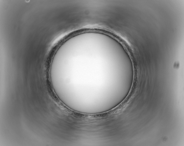 X0000094351311200711021304