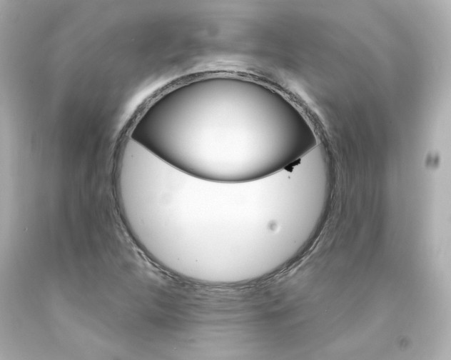 X0000094351312200711021304
