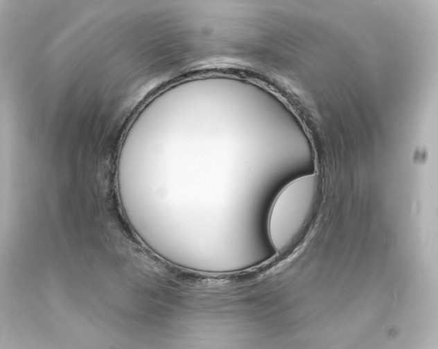 X0000094351313200711021304