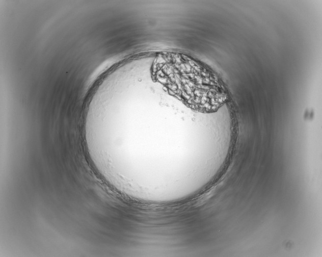 X0000094351314200711021304