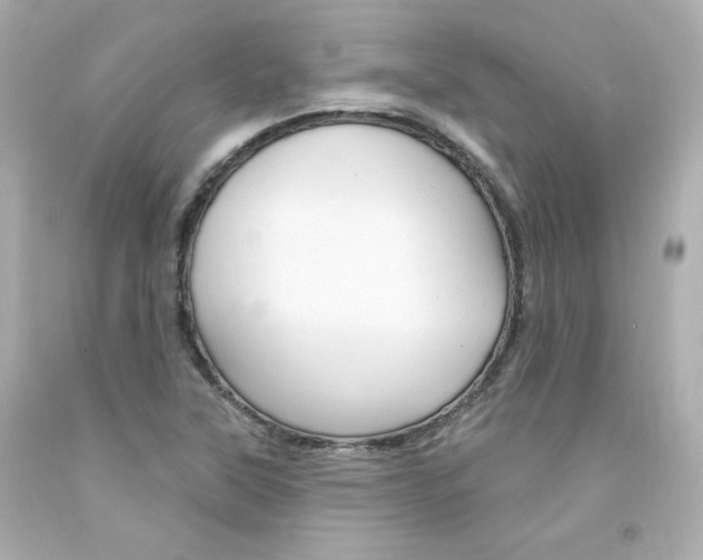 X0000094351315200711021304