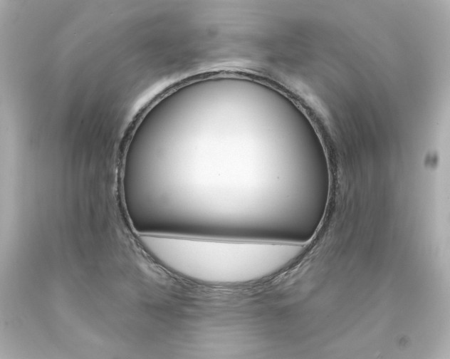 X0000094351316200711021304
