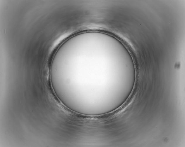 X0000094351317200711021304