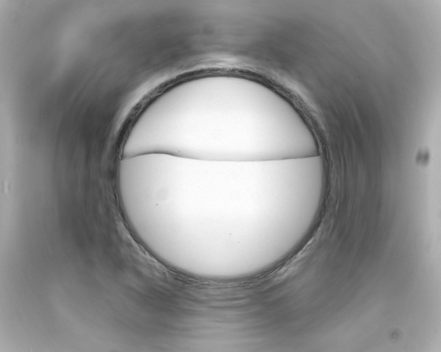 X0000094351318200711021304