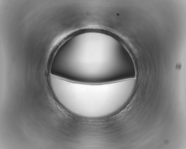 X0000094351319200711021304