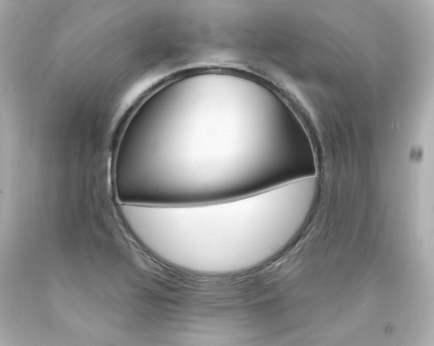 X0000094351320200711021304