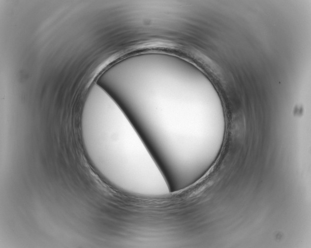 X0000094351321200711021304