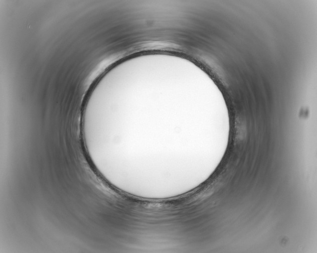 X0000094351322200711021304