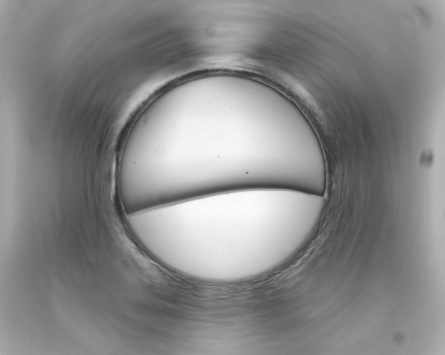 X0000094351323200711021304
