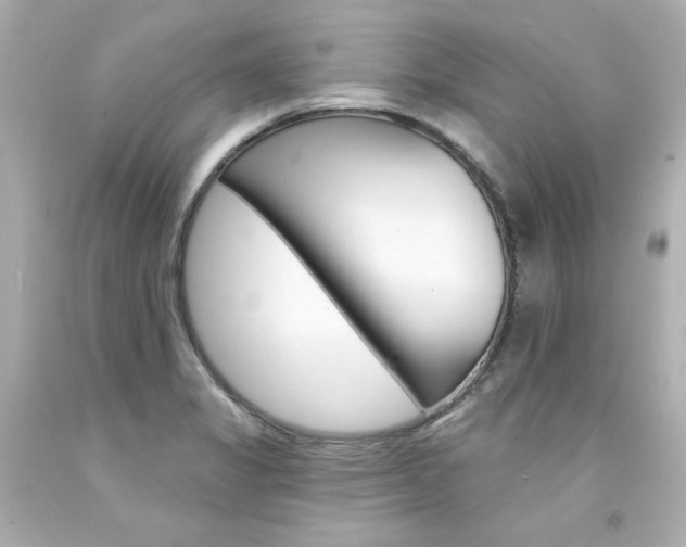 X0000094351325200711021304