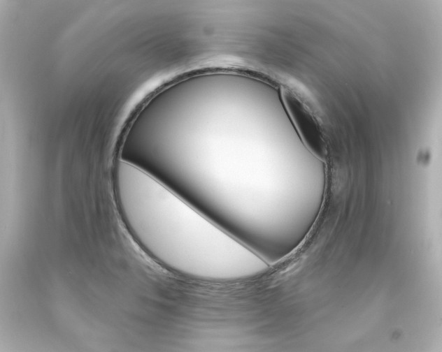 X0000094351326200711021304