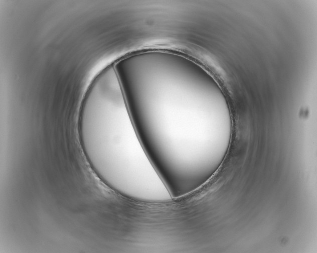 X0000094351328200711021304