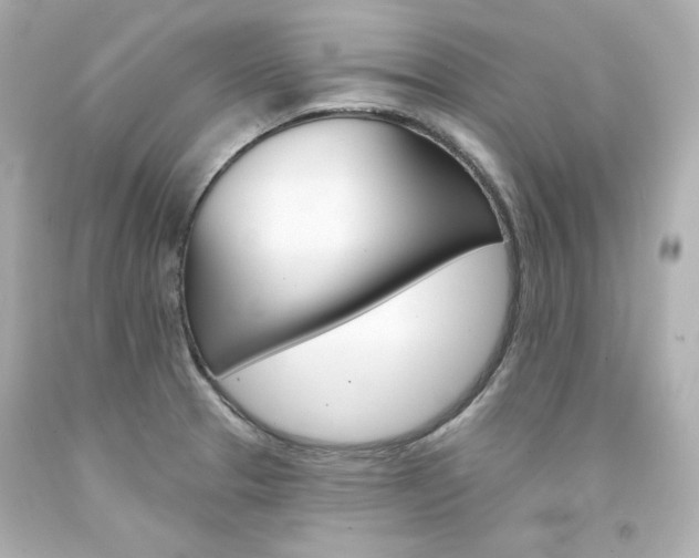 X0000094351329200711021304