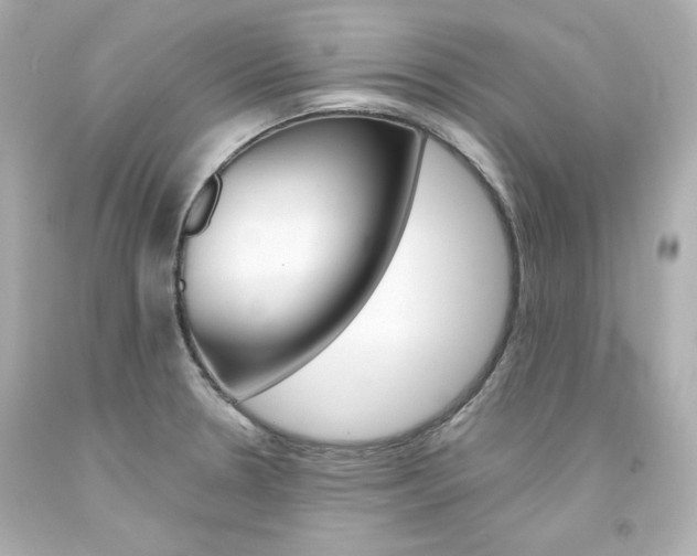 X0000094351330200711021304