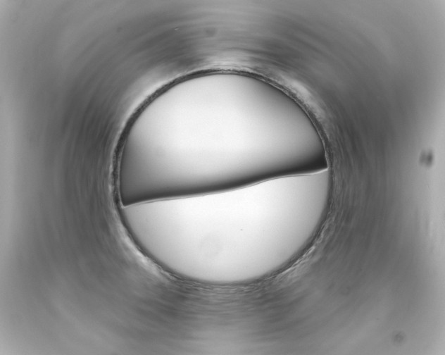 X0000094351331200711021304
