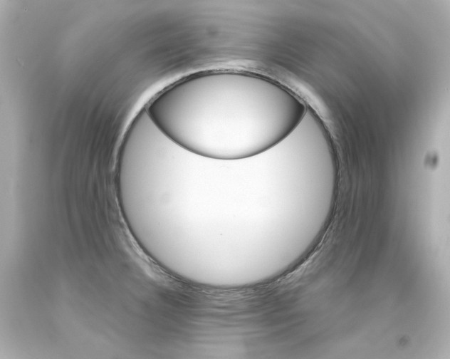 X0000094351332200711021304