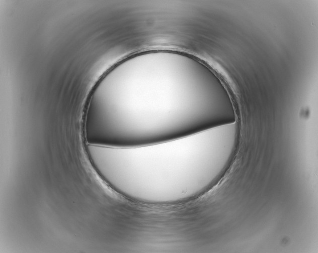 X0000094351333200711021304