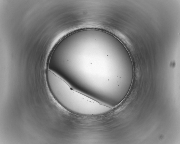 X0000094351334200711021304