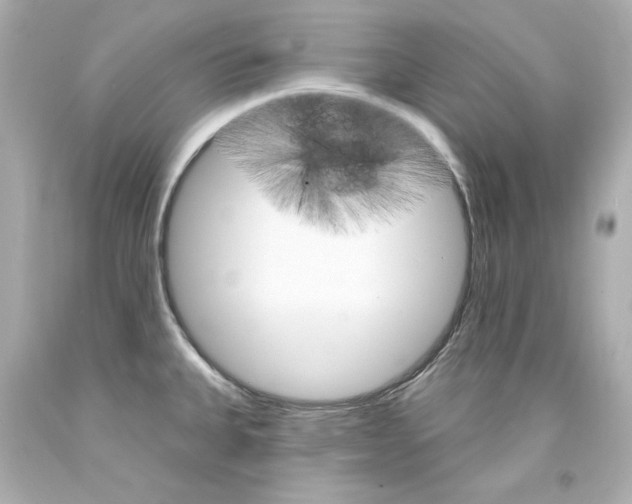X0000094351335200711021304