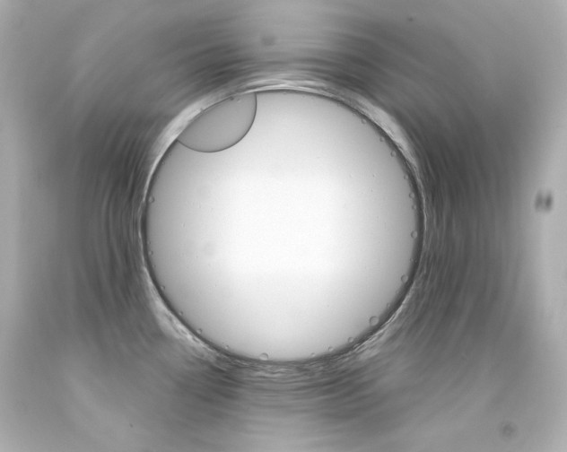 X0000094351338200711021304